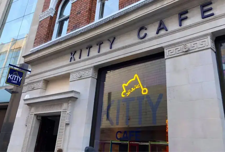 Photo showing Kitty Café